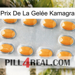 Prix De La Gelée Kamagra cialis3